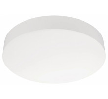 Потолочный светильник Arlight IM-FLOWER-EMERGENCY-3H-R410-32W Day4000-MIX (WH, 110 deg, 230V) (Arlight, IP54 Пластик, 2 года) 042570