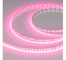 Светодиодная лента Arlight RT-A120-8mm 24V Pink (9.6 W/m, IP20, 2835, 5m) 043380
