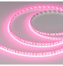 Светодиодная лента Arlight RT-A120-8mm 24V Pink (9.6 W/m, IP20, 2835, 5m) 043380