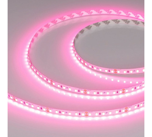 Светодиодная лента Arlight RT-A120-8mm 24V Pink (9.6 W/m, IP20, 2835, 5m) 043380