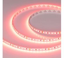 Светодиодная лента Arlight RT-A120-8mm 24V Scarlet (9.6 W/m, IP20, 2835, 5m) 043383