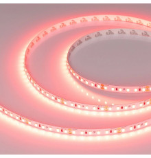 Светодиодная лента Arlight RT-A120-8mm 24V Scarlet (9.6 W/m, IP20, 2835, 5m) 043383