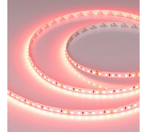 Светодиодная лента Arlight RT-A120-8mm 24V Scarlet (9.6 W/m, IP20, 2835, 5m) 043383