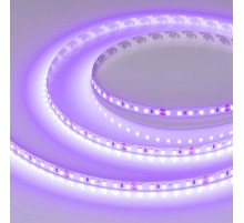 Светодиодная лента Arlight RT-A120-8mm 24V Violet (9.6 W/m, IP20, 2835, 5m) 043384