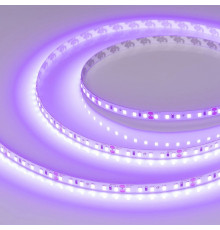 Светодиодная лента Arlight RT-A120-8mm 24V Violet (9.6 W/m, IP20, 2835, 5m) 043384