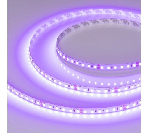 Светодиодная лента Arlight RT-A120-8mm 24V Violet (9.6 W/m, IP20, 2835, 5m) 043384