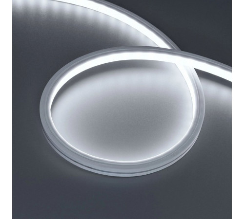 Грейзер Arlight THOR-TOP-B70-10x10mm 24V White6500 (15 W/m, IP67, 5m, wire x2) 045322 Грейзер Arlight THOR-TOP-B70-10x10mm 24V White6500 (15 W/m, IP67, 5m, wire x2) 045322