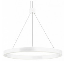 Подвесной светильник Arlight SP-CONGO-CAN-1-R400-24W Warm3000 (WH, 120 deg, 230V) 046212