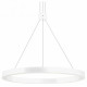 Подвесной Подвесной светильник Arlight SP-CONGO-CAN-1-R400-24W Day4000 (WH, 120 deg, 230V) 046213
