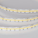 Светодиодная лента Arlight ULTRA-A288-10mm 24V Day5000 (17 W/m, IP20, 5m) 054929