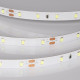 Светодиодная лента Arlight RT-A60-8mm 24V Ice Blue (4.8 W/m, IP20, 5m) 055376