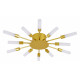 Потолочная люстра Arte Lamp Maple A1276PL-12GO