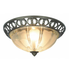 Потолочный светильник Arte Lamp 16 A1306PL-2AB