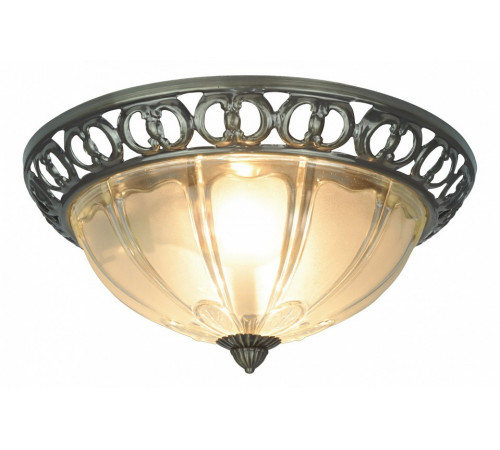 Потолочный светильник Arte Lamp 16 A1306PL-2AB