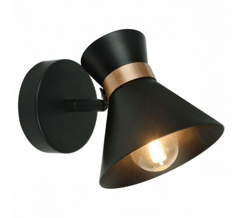 Спот Arte Lamp Baltimore A1406AP-1BK Спот Arte Lamp Baltimore A1406AP-1BK