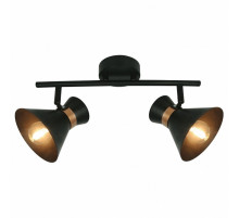 Спот Arte Lamp Baltimore A1406AP-2BK