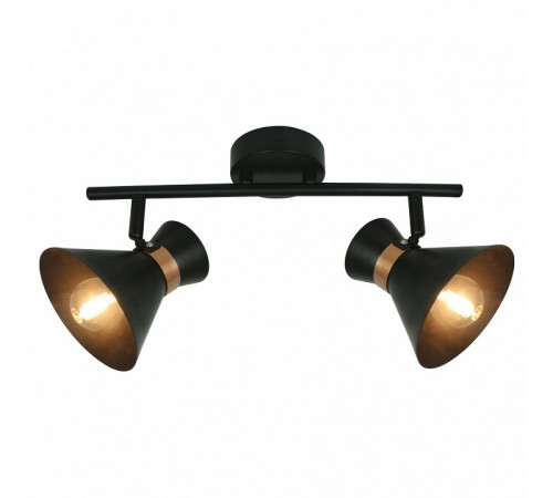 Спот Arte Lamp Baltimore A1406AP-2BK Спот Arte Lamp Baltimore A1406AP-2BK
