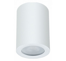 Накладной светильники Arte Lamp Tino A1468PL-1WH