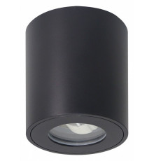 Накладной светильники Arte Lamp Tino A1469PL-1BK
