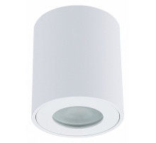 Накладной светильники Arte Lamp Tino A1469PL-1WH