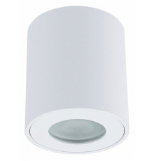 Накладной светильники Arte Lamp Tino A1469PL-1WH