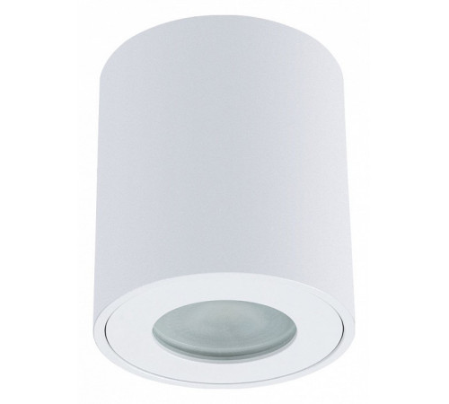 Накладной светильники Arte Lamp Tino A1469PL-1WH