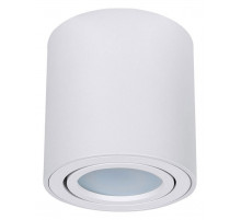 Накладной светильник Arte Lamp Beid A1513PL-1WH