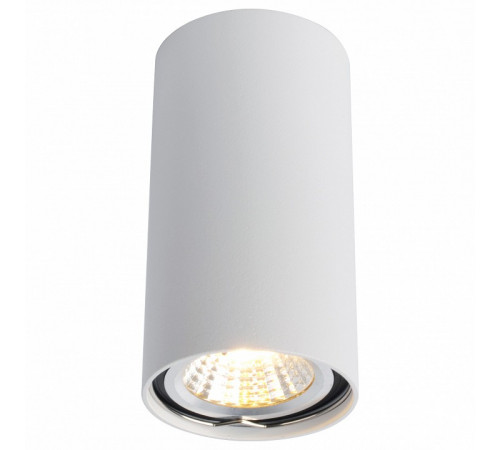 Потолочный светильник Arte Lamp A1516PL-1WH Потолочный светильник Arte Lamp A1516PL-1WH