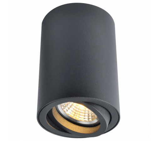 Потолочный светильник Arte Lamp A1560PL-1BK Потолочный светильник Arte Lamp A1560PL-1BK