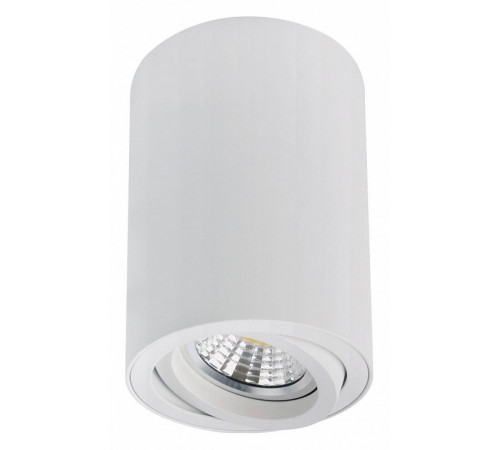Накладной светильник Arte Lamp Sentry A1566PL-1WH