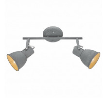 Спот Arte Lamp A1677PL-2GY