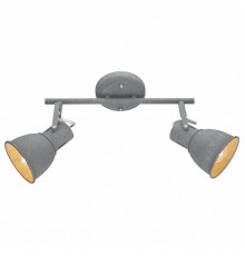 Спот Arte Lamp A1677PL-2GY