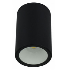 Уличный потолочный светильник Arte Lamp Torcular A1807PF-1BK