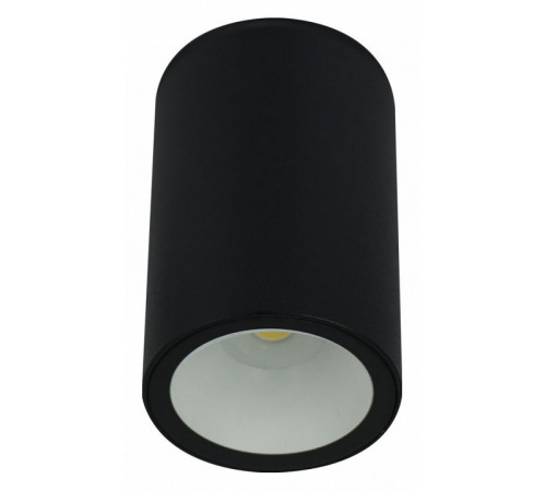 Уличный потолочный светильник Arte Lamp Torcular A1807PF-1BK