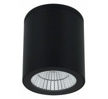 Уличный потолочный светильник Arte Lamp Torcular A1813PF-1BK