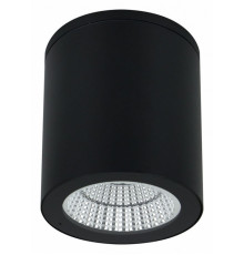 Уличный потолочный светильник Arte Lamp Torcular A1813PF-1BK