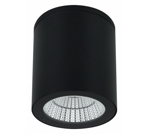 Уличный потолочный светильник Arte Lamp Torcular A1813PF-1BK Уличный потолочный светильник Arte Lamp Torcular A1813PF-1BK