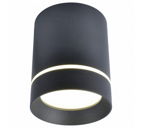 Потолочный светодиодный светильник Arte Lamp A1909PL-1BK
