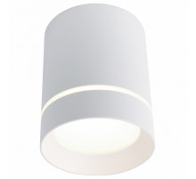 Потолочный светодиодный светильник Arte Lamp A1909PL-1WH