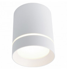 Потолочный светодиодный светильник Arte Lamp A1909PL-1WH