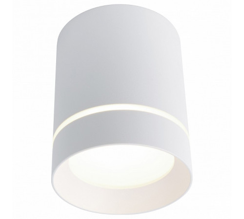 Потолочный светодиодный светильник Arte Lamp A1909PL-1WH