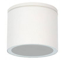 Уличный потолочный светильник Arte Lamp Piautos A1913PF-1WH