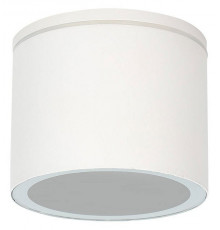 Уличный потолочный светильник Arte Lamp Piautos A1913PF-1WH