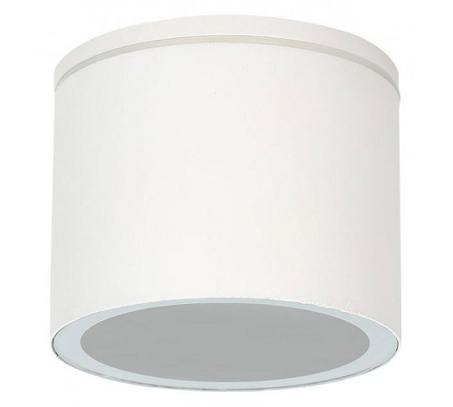 Уличный потолочный светильник Arte Lamp Piautos A1913PF-1WH