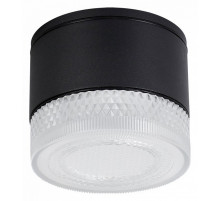 Уличный потолочный светильник Arte Lamp Piautos A1926PF-1BK
