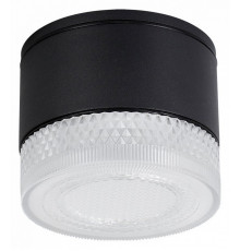 Уличный потолочный светильник Arte Lamp Piautos A1926PF-1BK