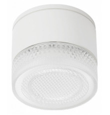 Уличный потолочный светильник Arte Lamp Piautos A1926PF-1WH