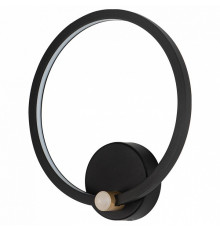 Настенный светильник Arte Lamp Errai A2195AP-1BK