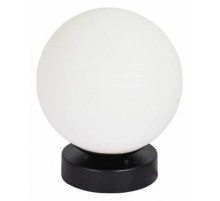 Настенно-потолочный светильник Arte Lamp Alcor A2224PL-1BK