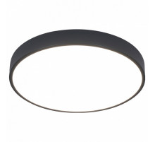 Потолочный светодиодный светильник Arte Lamp Arena A2661PL-1BK